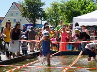 Bild zu Gmünder Wasserradfest 2017