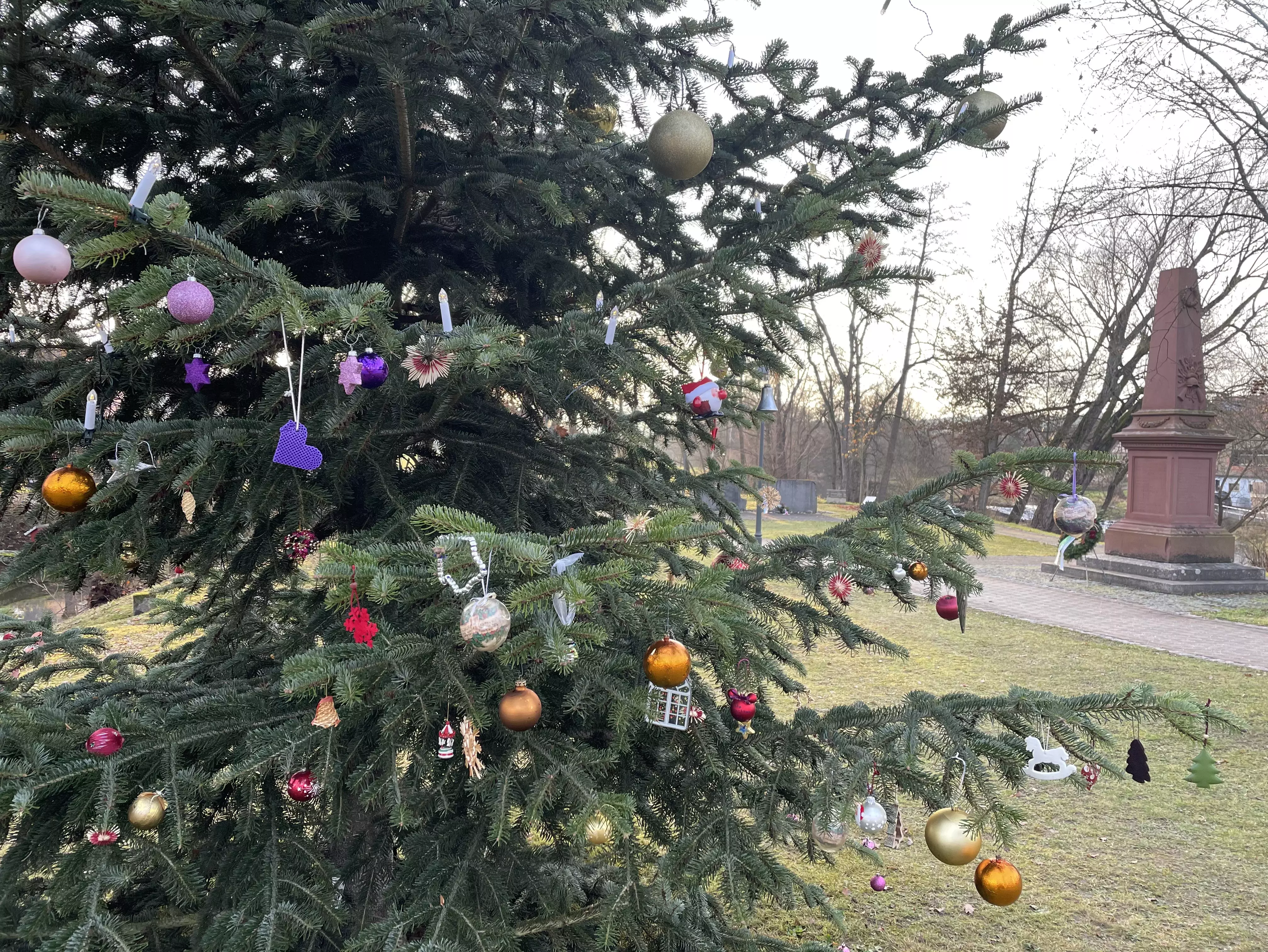 Gmünder Weihnachtsbaum